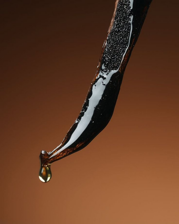 Infused Vanilla Bean